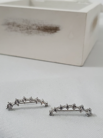 Sterling Sliver Caterpillar Earrings